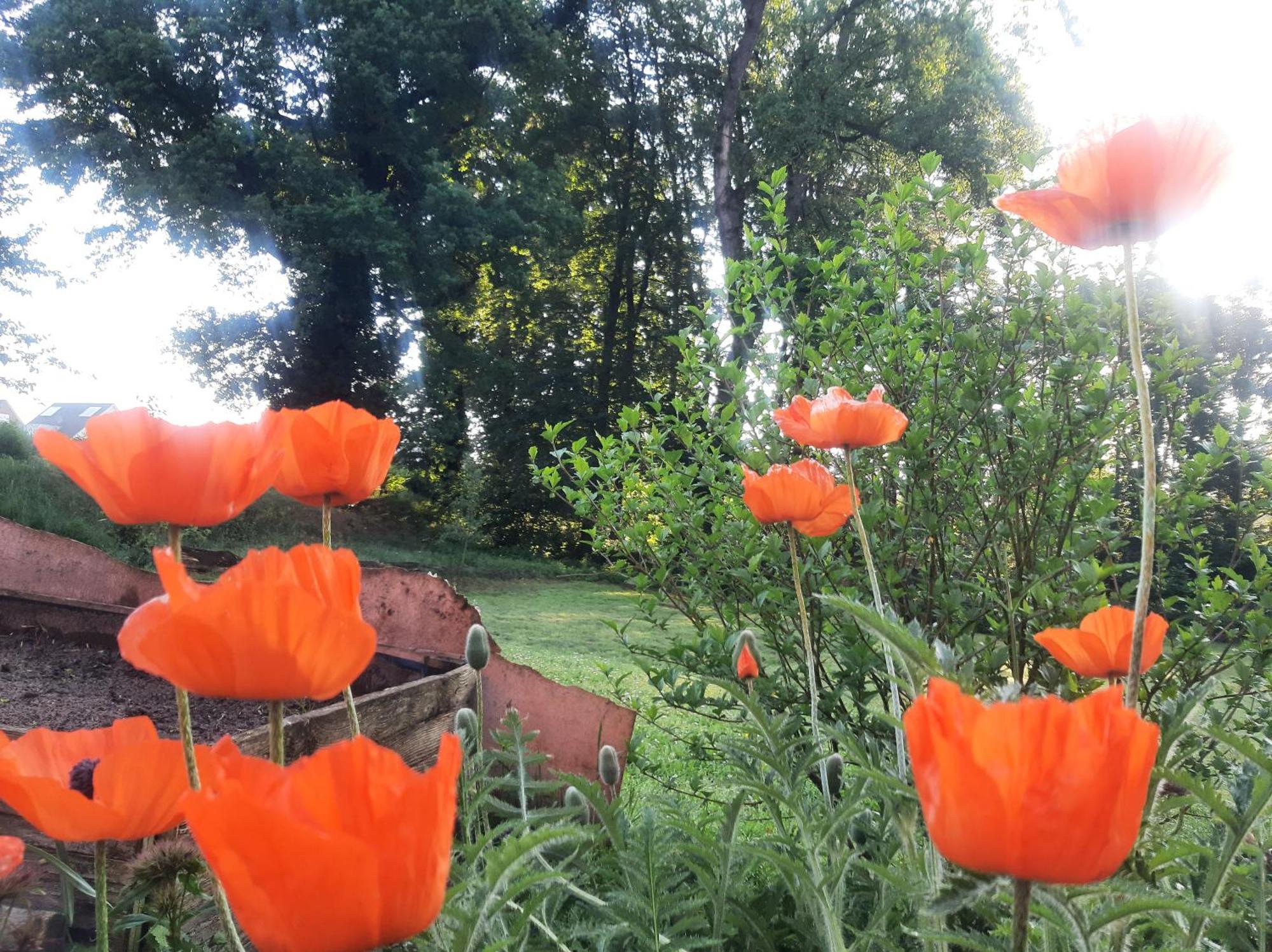 Ferienwohnung Auf Dem Land Ladbergen Luaran gambar