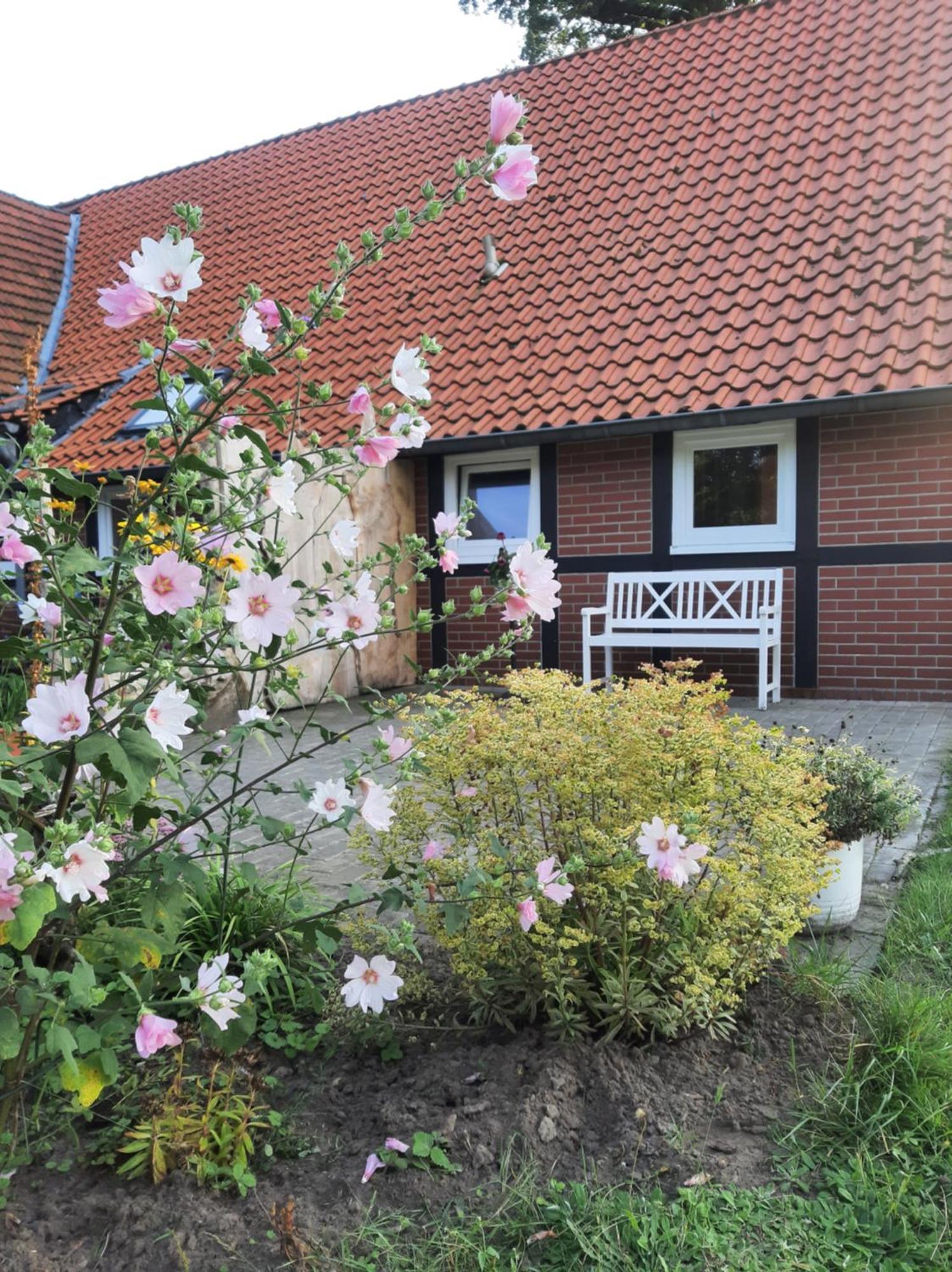 Ferienwohnung Auf Dem Land Ladbergen Luaran gambar